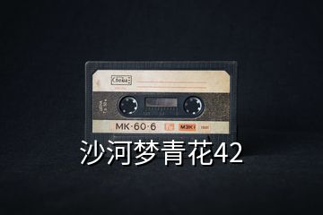 沙河夢(mèng)青花42