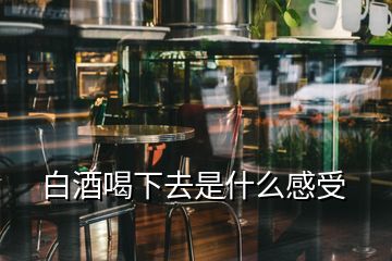 白酒喝下去是什么感受