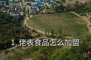 1. 佬表食品怎么加盟