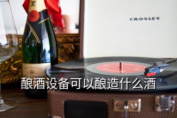 釀酒設備可以釀造什么酒