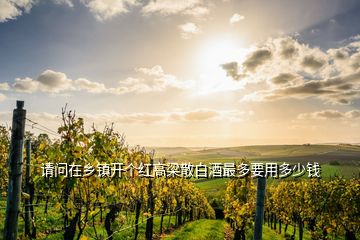 請(qǐng)問在鄉(xiāng)鎮(zhèn)開個(gè)紅高梁散白酒最多要用多少錢