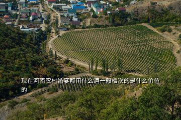 現(xiàn)在河南農(nóng)村婚宴都用什么酒一般檔次的是什么價(jià)位的
