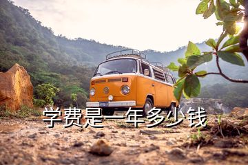 學(xué)費(fèi)是一年多少錢(qián)