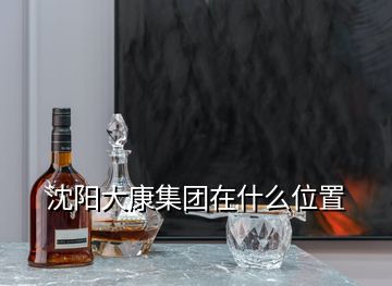 沈陽大康集團(tuán)在什么位置