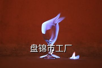 盤(pán)錦市工廠