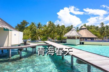 青海春天