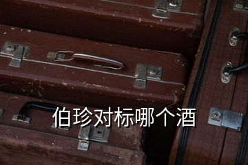 伯珍對標(biāo)哪個(gè)酒