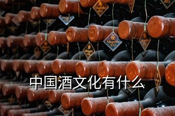 中國(guó)酒文化有什么