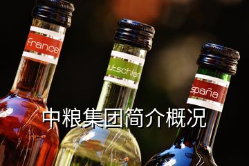 中糧集團簡介概況