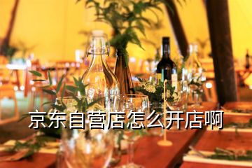京東自營(yíng)店怎么開(kāi)店啊