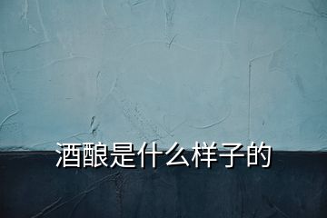 酒釀是什么樣子的