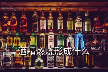 酒精燃燒形成什么