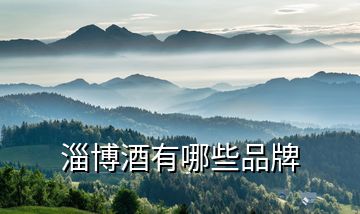 淄博酒有哪些品牌