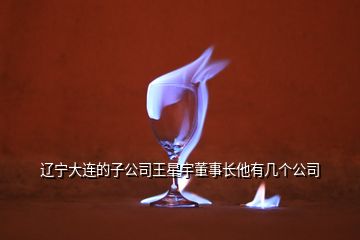 遼寧大連的子公司王星宇董事長他有幾個公司