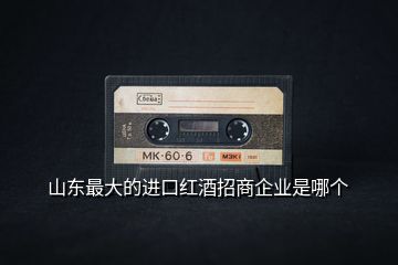 山東最大的進口紅酒招商企業(yè)是哪個
