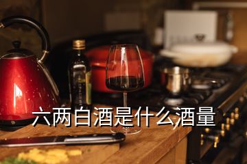 六兩白酒是什么酒量