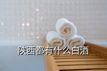 陜西都有什么白酒
