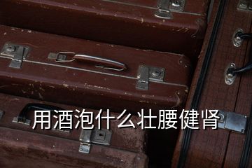 用酒泡什么壯腰健腎