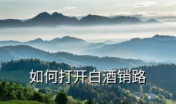 如何打開(kāi)白酒銷路
