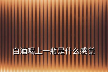 白酒喝上一瓶是什么感覺(jué)