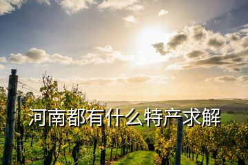 河南都有什么特產求解