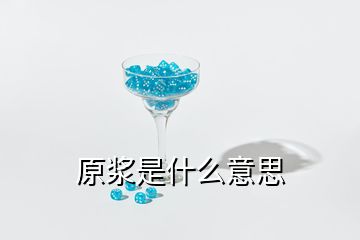 原漿是什么意思