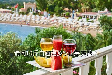 請問10斤白酒泡多少山茱萸適合