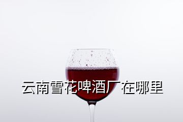 云南雪花啤酒廠(chǎng)在哪里