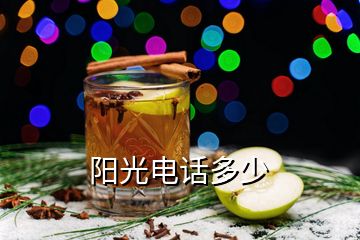 陽(yáng)光電話多少