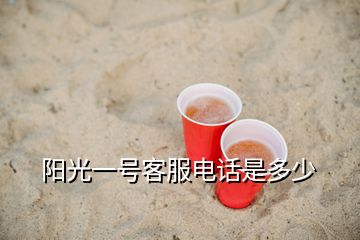 陽(yáng)光一號(hào)客服電話是多少