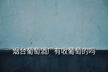 煙臺葡萄酒廠有收葡萄的嗎