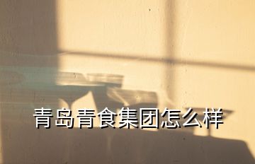 青島青食集團怎么樣