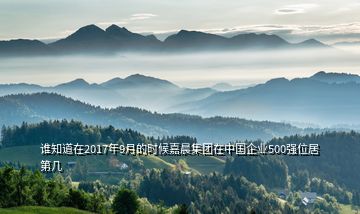 誰知道在2017年9月的時(shí)候嘉晨集團(tuán)在中國(guó)企業(yè)500強(qiáng)位居第幾