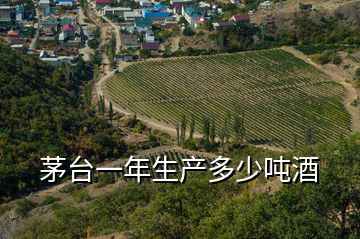 茅臺(tái)一年生產(chǎn)多少噸酒