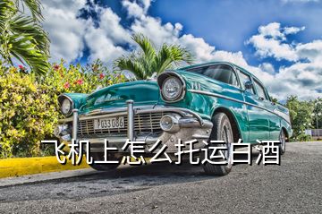 飛機(jī)上怎么托運白酒