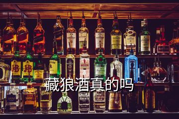 藏狼酒真的嗎