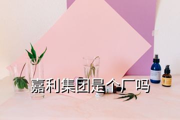 嘉利集團(tuán)是個廠嗎