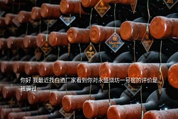 你好 我最近找白酒廠家看到你對永盛燒坊一號窖的評價是被騙過