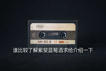 誰比較了解紫斐藍(lán)莓酒求給介紹一下