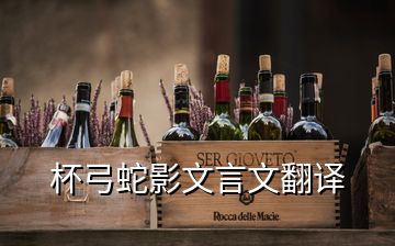 杯弓蛇影文言文翻譯