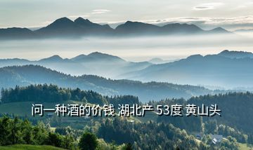 問一種酒的價錢 湖北產 53度 黃山頭