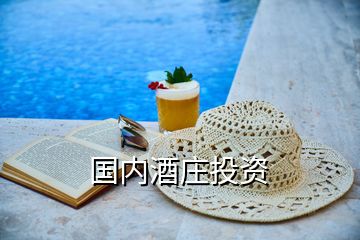 國內(nèi)酒莊投資