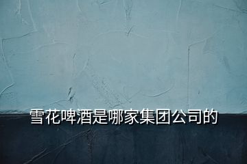 雪花啤酒是哪家集團(tuán)公司的