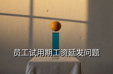 員工試用期工資延發(fā)問(wèn)題