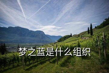 夢(mèng)之藍(lán)是什么組織
