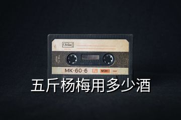 五斤楊梅用多少酒