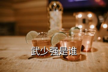 武少?gòu)?qiáng)是誰(shuí)
