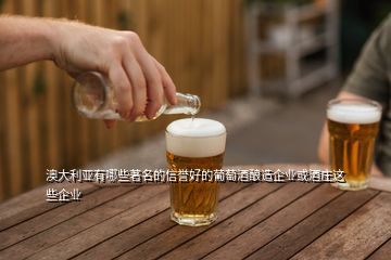 澳大利亞有哪些著名的信譽(yù)好的葡萄酒釀造企業(yè)或酒莊這些企業(yè)