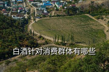 白酒針對消費(fèi)群體有哪些
