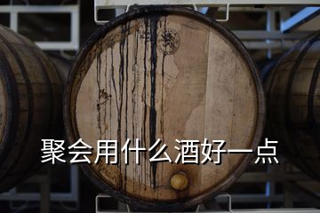 聚會(huì)用什么酒好一點(diǎn)